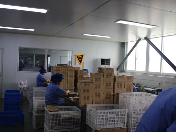 河南哪家膏藥代加工廠家生產(chǎn)的膏藥好？